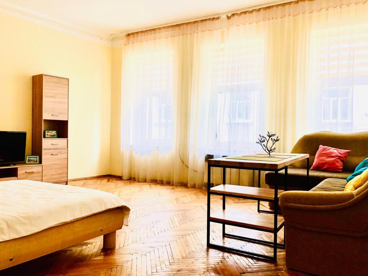 Apartment Near Opera On Horodotska 11 Lwów Zewnętrze zdjęcie