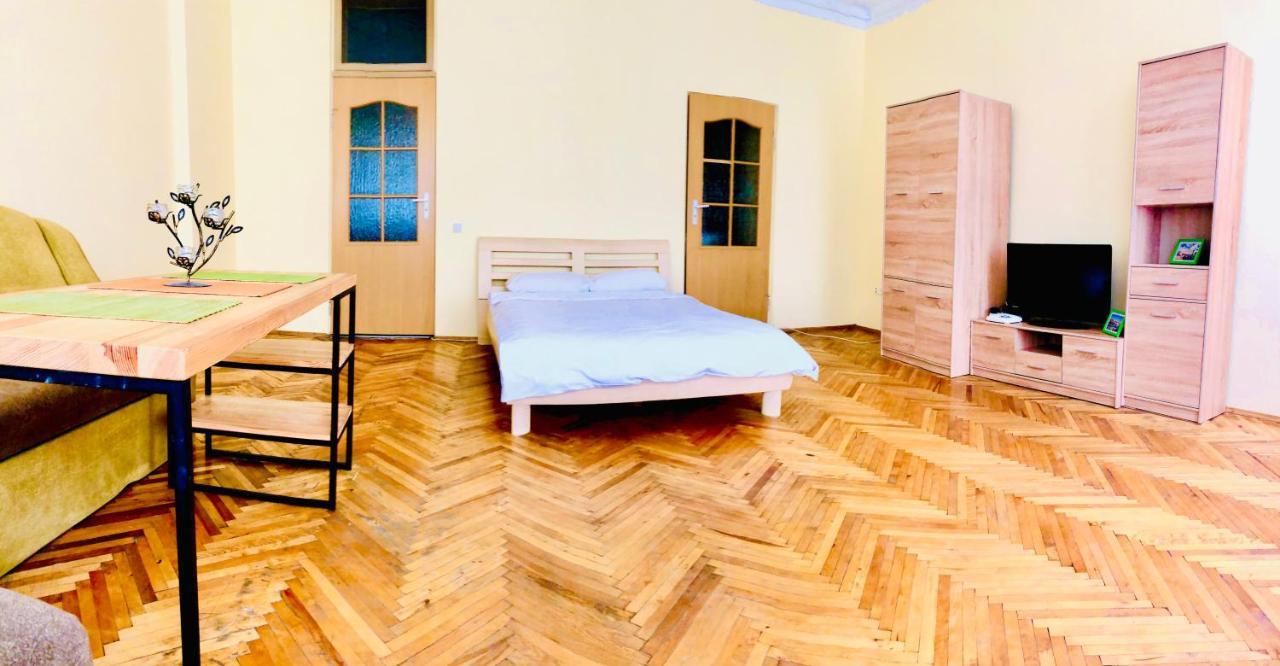 Apartment Near Opera On Horodotska 11 Lwów Zewnętrze zdjęcie